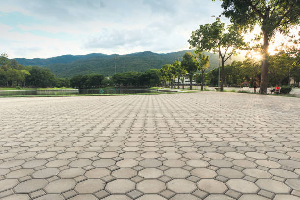 Best Best Driveway Pavers  in Missouri City, TX